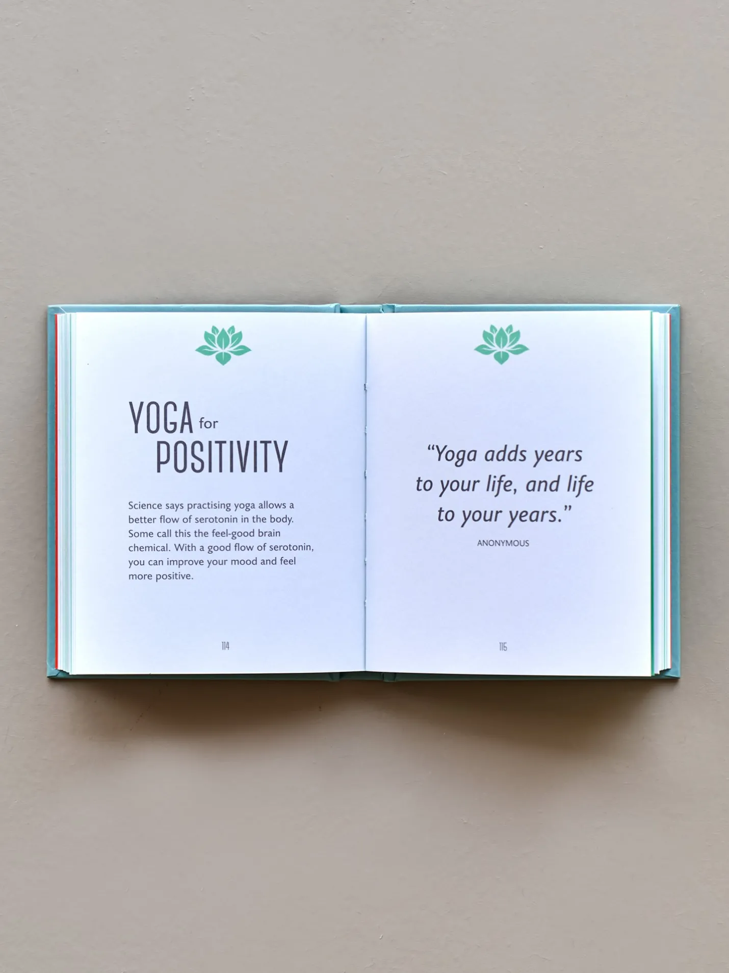 Søstrene Grene Schweiz The Little Book Of Yoga Electric Blue