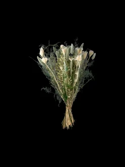 Outlet Søstrene Grene Schweiz Trockenblumen Iceberg Klein Sage Green