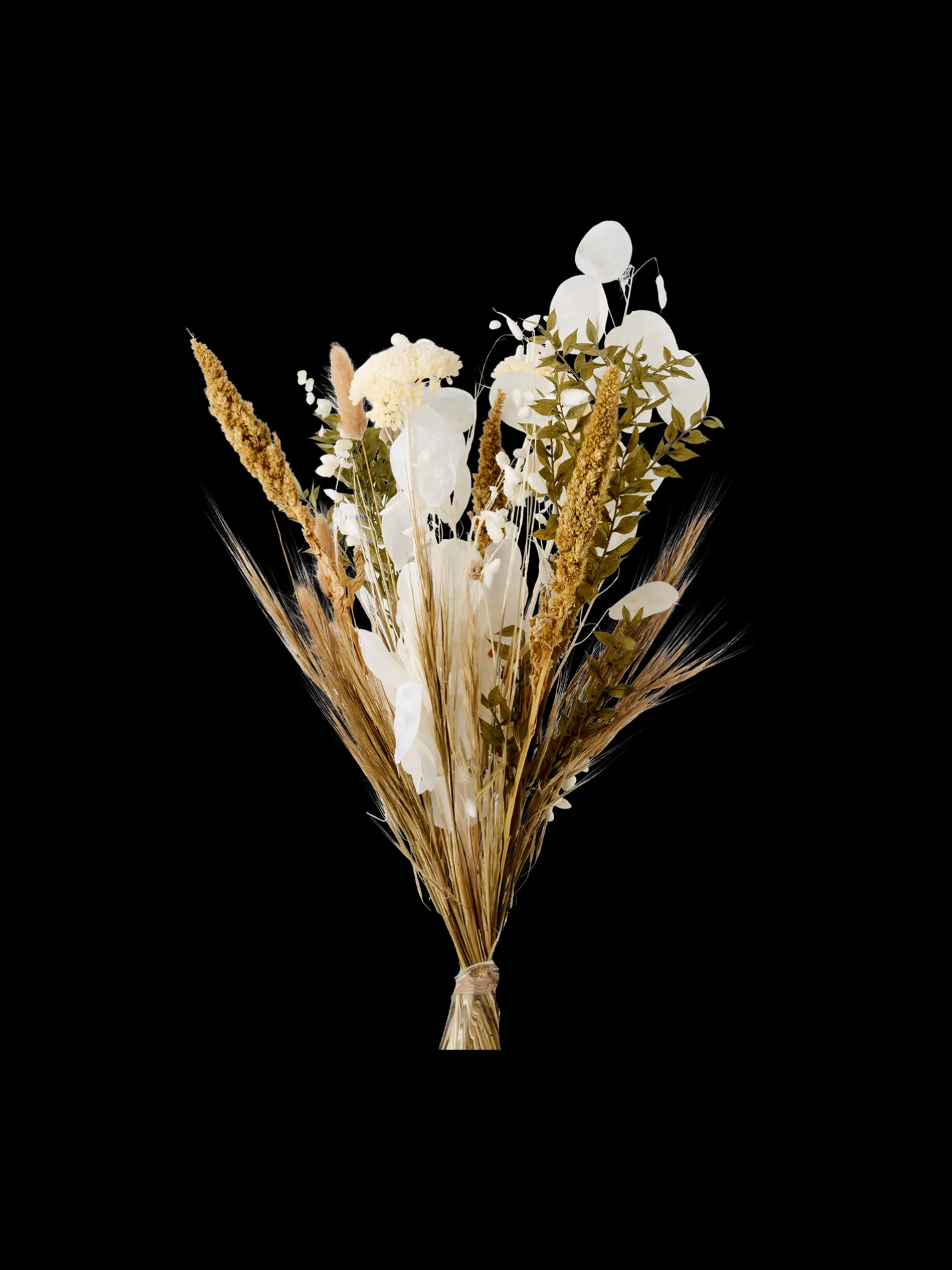Søstrene Grene Schweiz Trockenblumen Lunaria Klein Multi