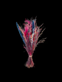 Outlet Søstrene Grene Schweiz Trockenblumen Pink Medium Cherry Red