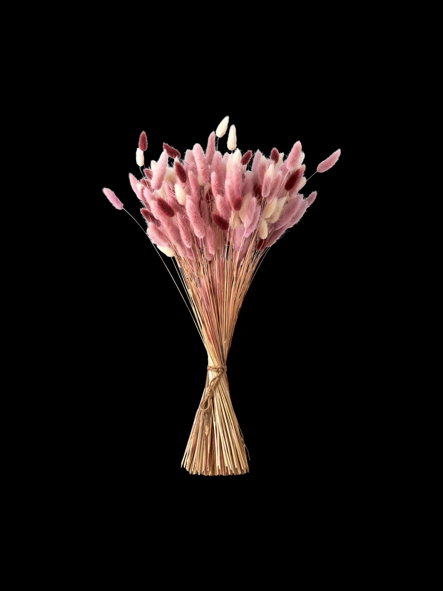 Søstrene Grene Schweiz Trockenblumen Pudder Medium Cherry Red