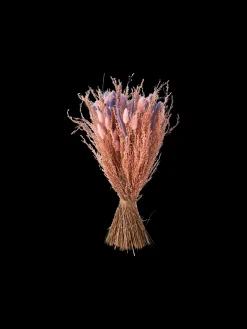 Clearance Søstrene Grene Schweiz Trockenblumen Rosa Klein Cherry Red
