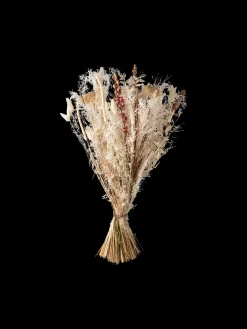 Online Søstrene Grene Schweiz Trockenblumen White Medium Off White