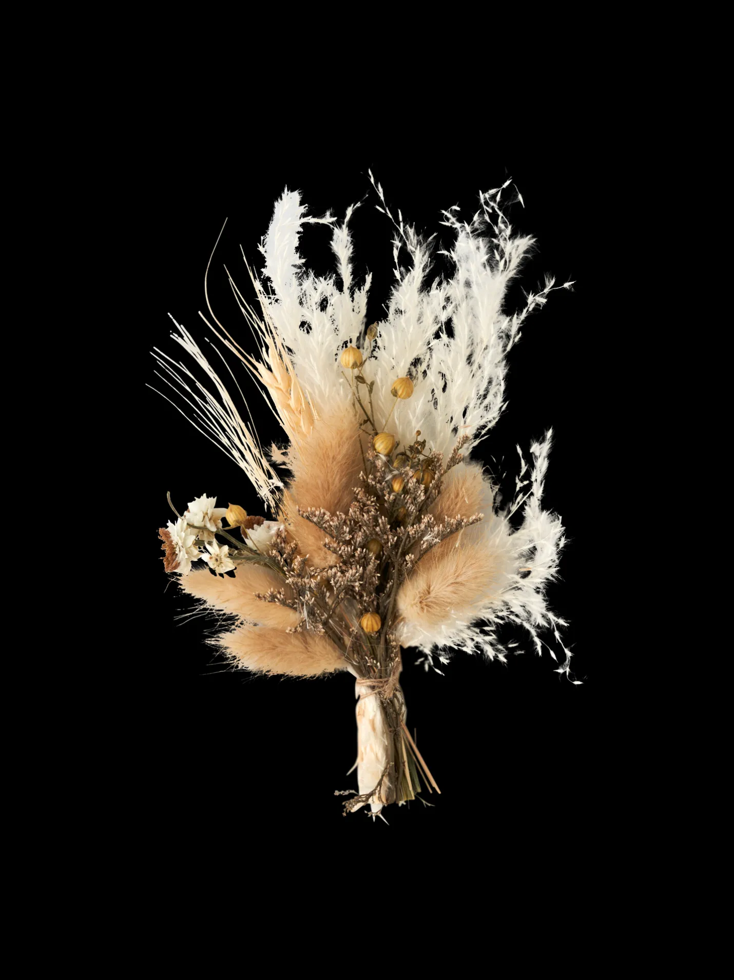 Sale Søstrene Grene Schweiz Trockenblumen Zum Basteln Off White
